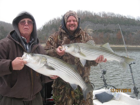 Nice Striped Bass